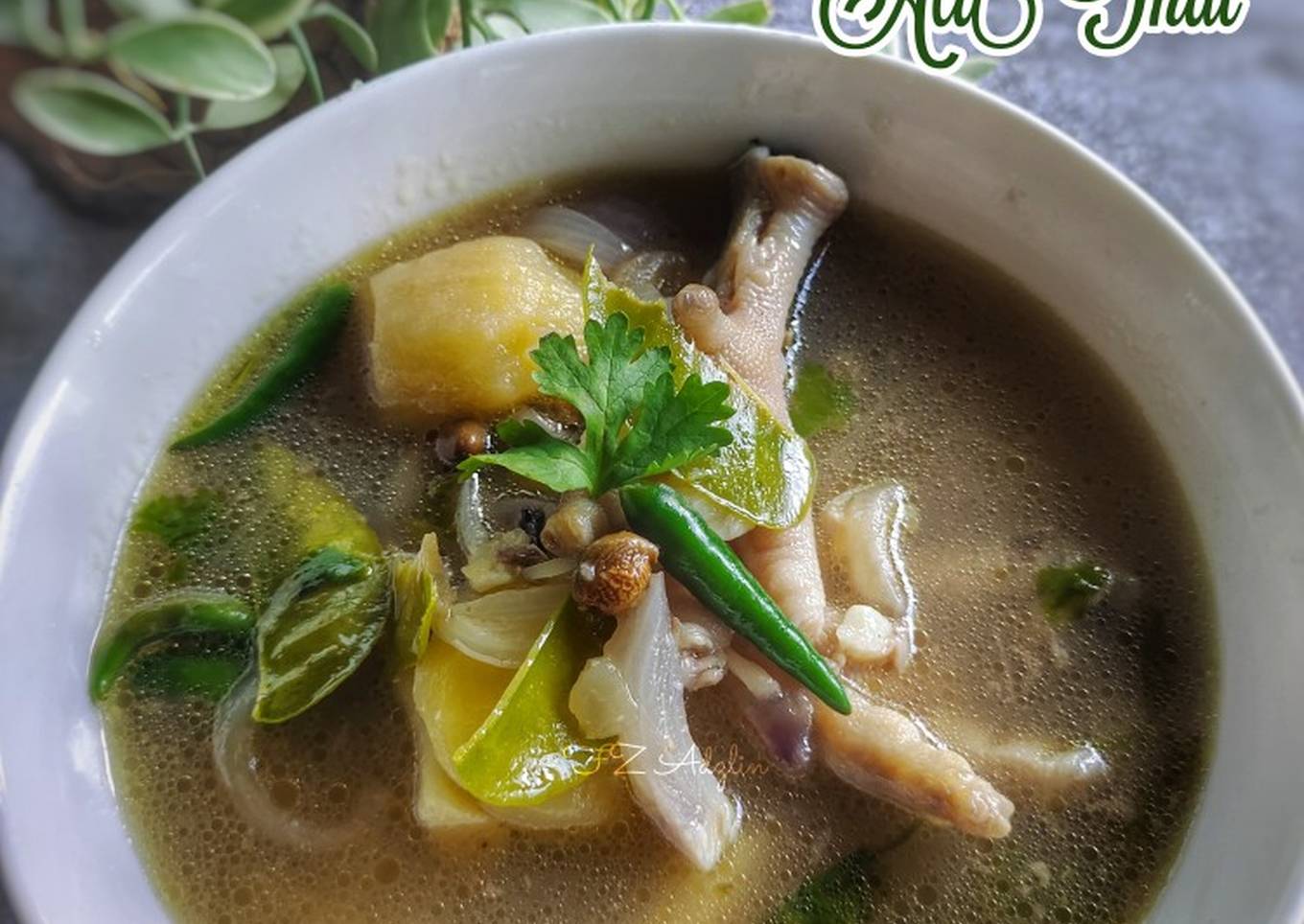 Menyajikan Resepi Sup Kaki Ayam Ala Thai Yang Sempurna Resepi Orang